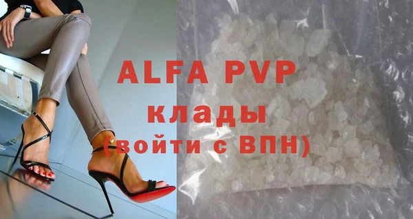 индика Богородск