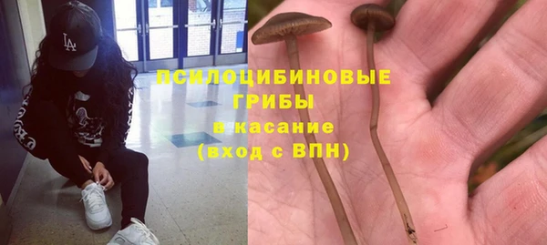 spice Бронницы