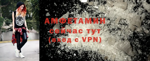 индика Богородск