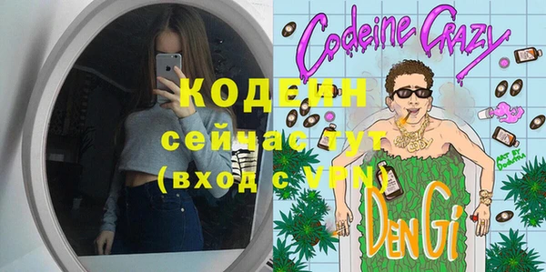 индика Богородск