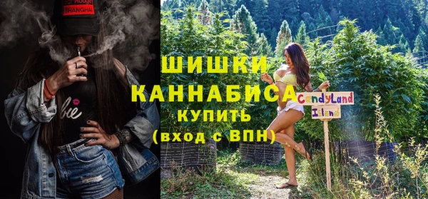сатива Бородино
