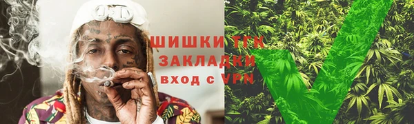 индика Богородск