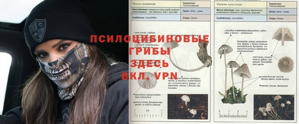 индика Богородск