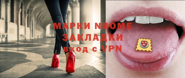 сатива Бородино