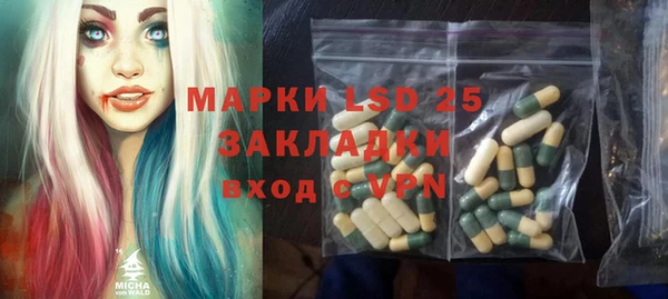 сатива Бородино