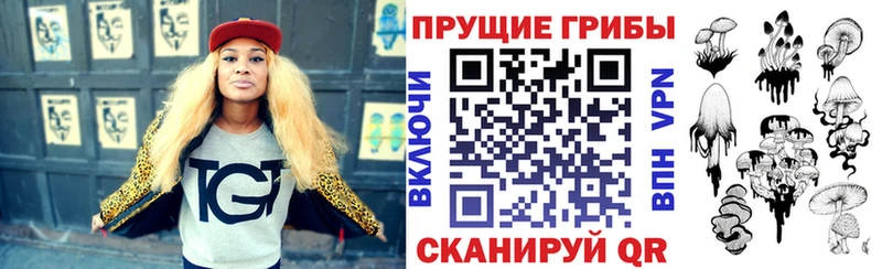 Псилоцибиновые грибы мицелий Колпашево