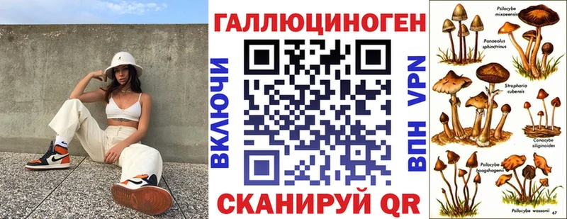 дарк нет официальный сайт  наркошоп  Колпашево  Псилоцибиновые грибы Cubensis 
